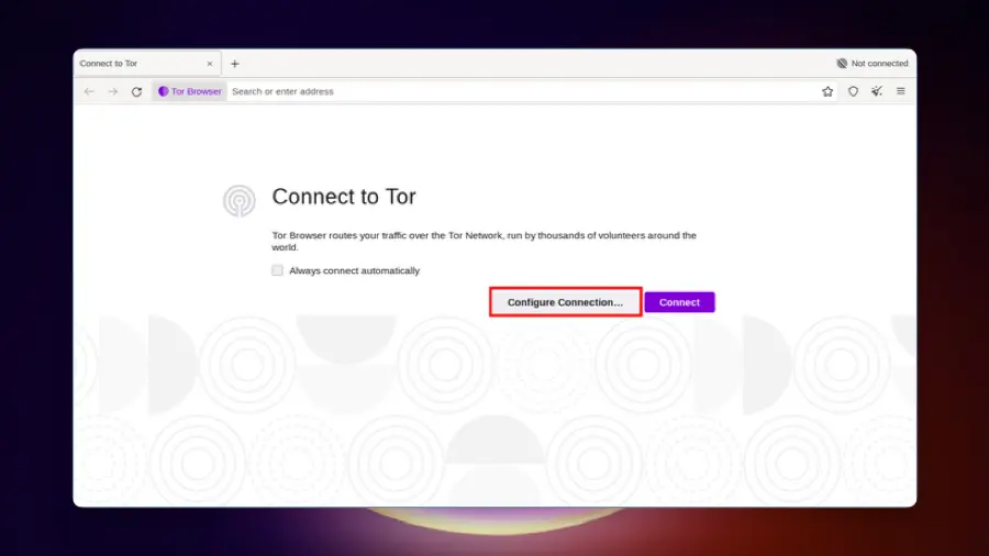 Tor Browser - Tor Browser Screenshot 02